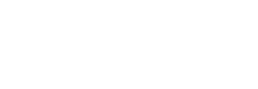 Brave Guard Logo